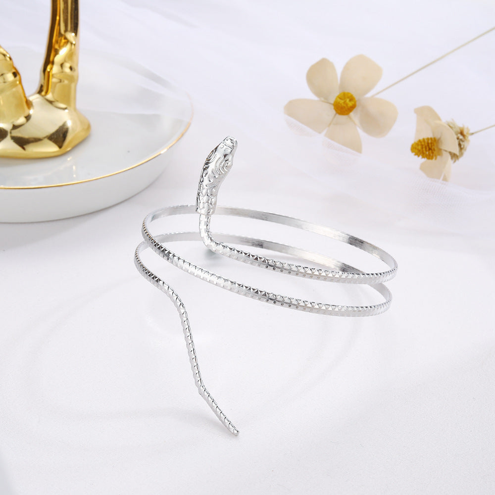 Personality Trend Double-layer Snake-shaped Armband Bracelet