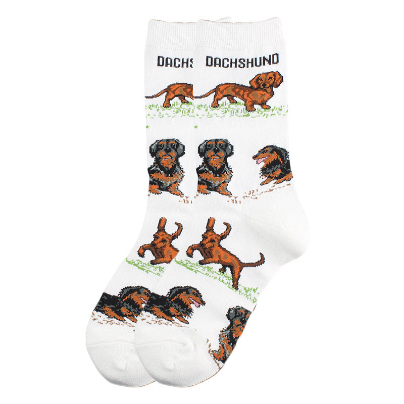 New Cute Animal Socks Trend
