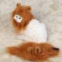 Funny Pet Hat For Small Dogs Cats Hat Emulation Lion Hair Mane Ears Head Cap Scarf Pet Halloween Festival Costume