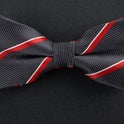 Double bow tie