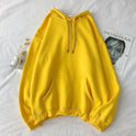 Pure color hooded plus fleece sweater Loose casual sweater