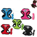 Pet chest strap