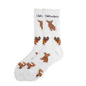 New Cute Animal Socks Trend