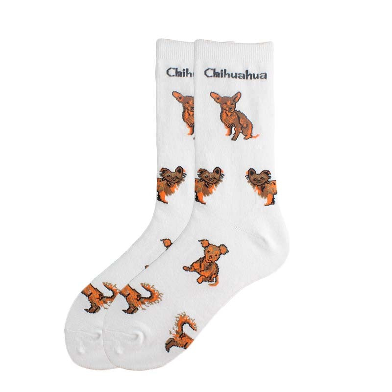 New Cute Animal Socks Trend