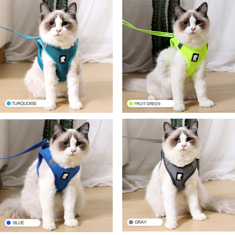 Anti-strike cat traction cat harness