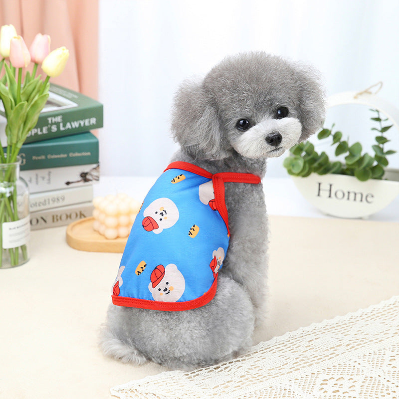 Teddy Red Riding Hood Bear Sling