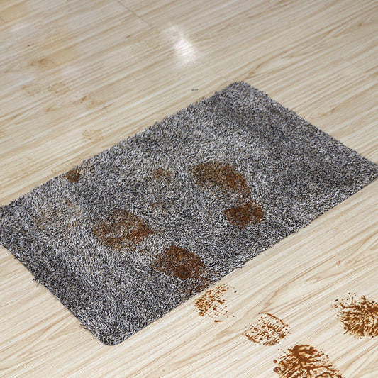 Pet Mat Absorbing Water And Mud Mat, Easy To Clean