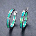 Round Color Exaggerated Metal Alloy Earrings