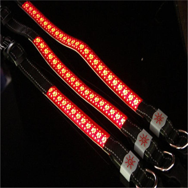 LED light collar pet collar