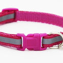 Fluorescent dog collar