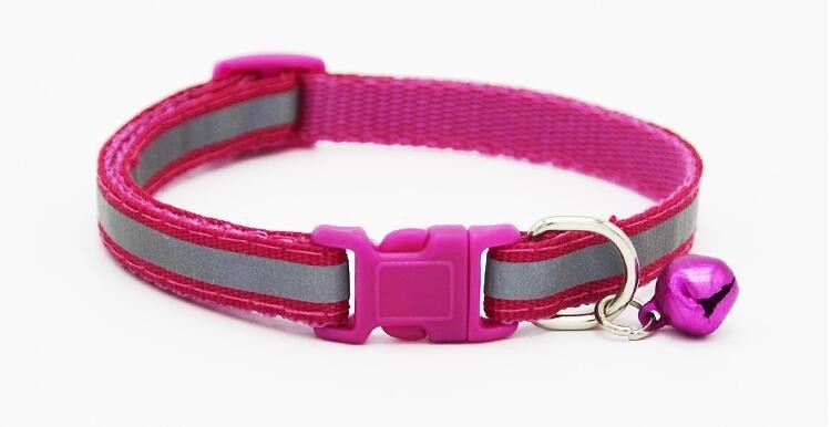 Fluorescent dog collar