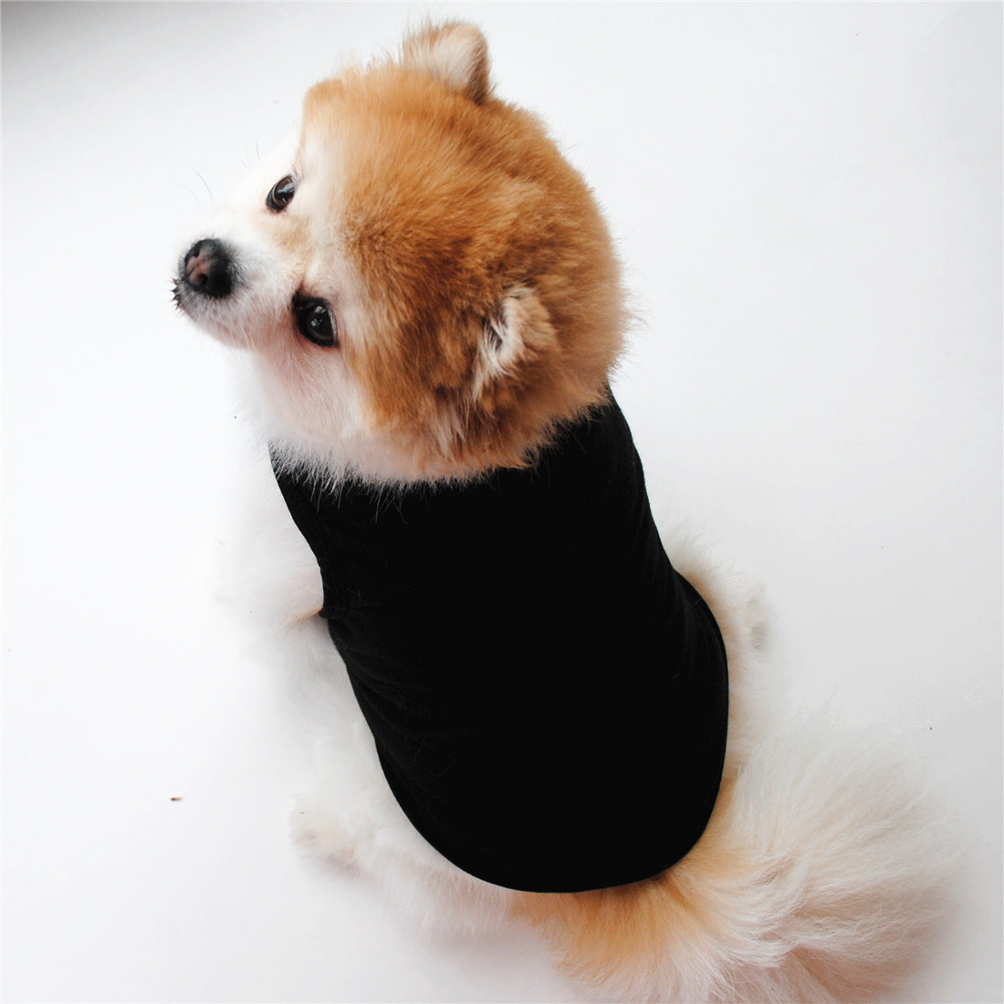 Pet Supplies Solid Color Dog Vest T Thin White Edition