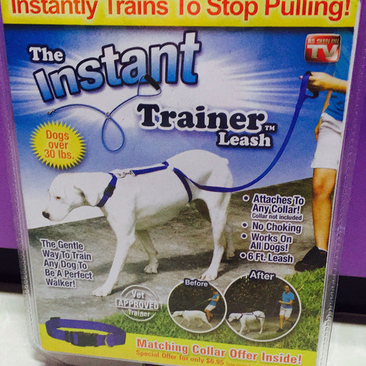 Pet dog leash