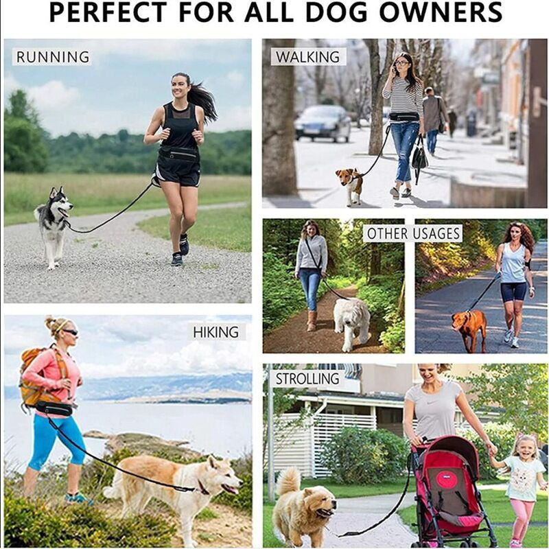 Pet Purse Leash For Dog Walking