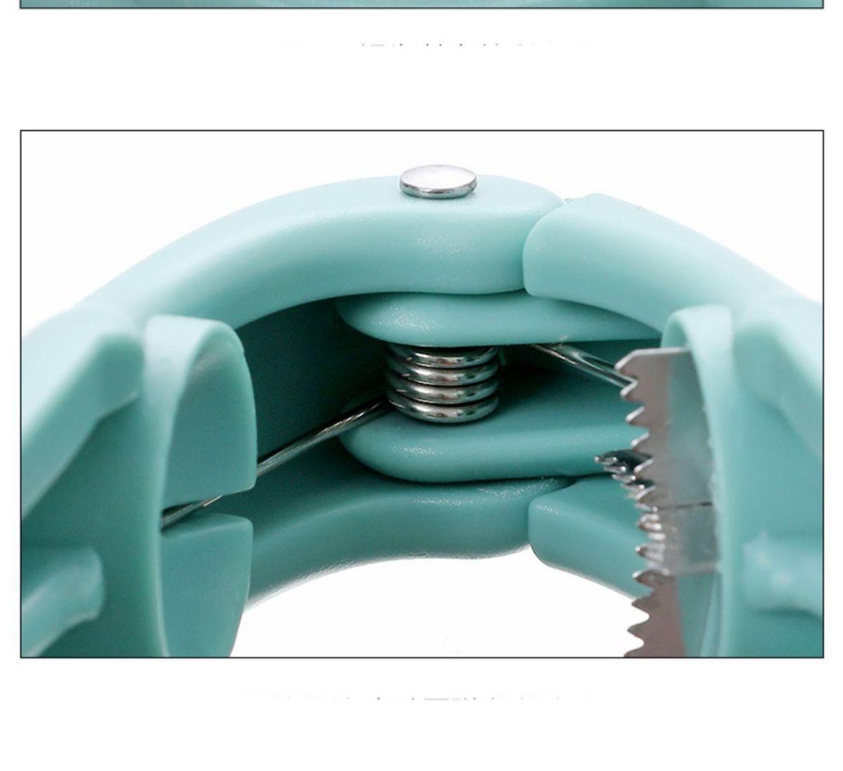 Chestnut Mouth Gag Multifunctional