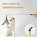 Wooden Handle Spring Cat Teasing Stick Feather Bell Replacement Head Interactive Kitten Toy Supplies