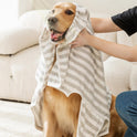 Extra Large Water Absorbing Quick Drying Dog Bathrobe