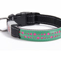 LED light collar pet collar