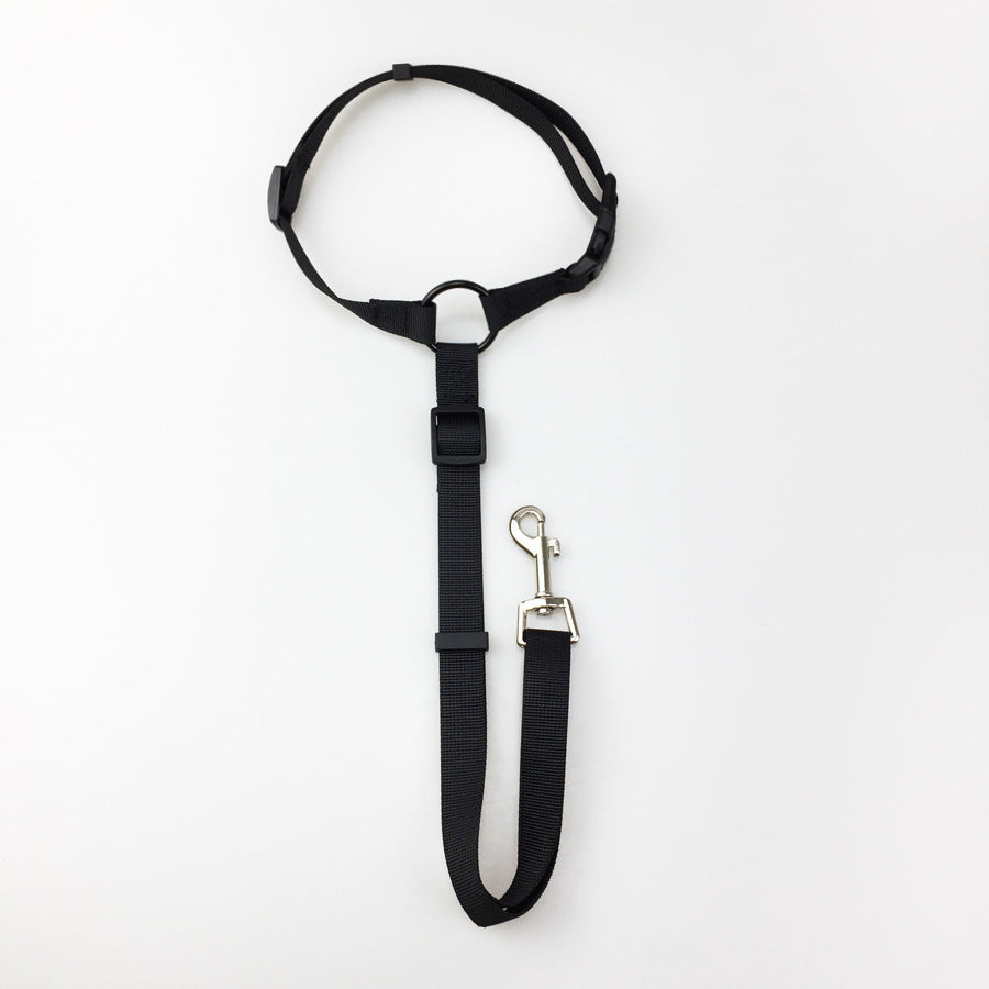 Pet safety leash