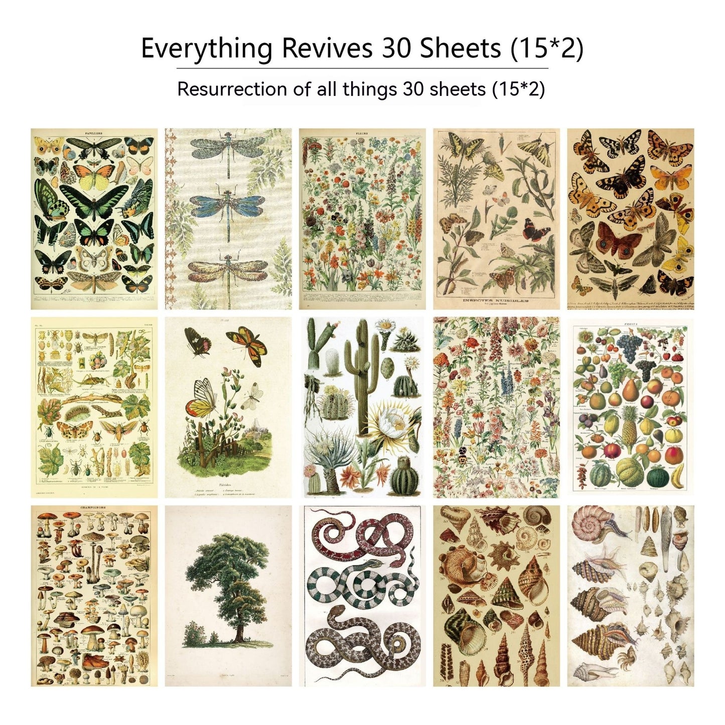 30 Pieces Diary Newspaper Decoration Scrapbook Material Paper