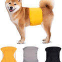 Pet-specific Dog Physiological Belt Diaper