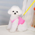 Fashion Personalized Pet Traction Chest Back
