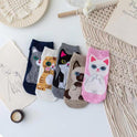 Women's Cotton Tube Socks European And American Girls Ear Socks