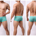 Striped Transparent Boxers For Men