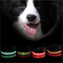 LED light collar pet collar