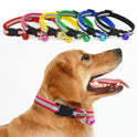 Fluorescent dog collar