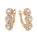 Women's Exquisite Copper Plated Gold Hundred Zircon Earrings