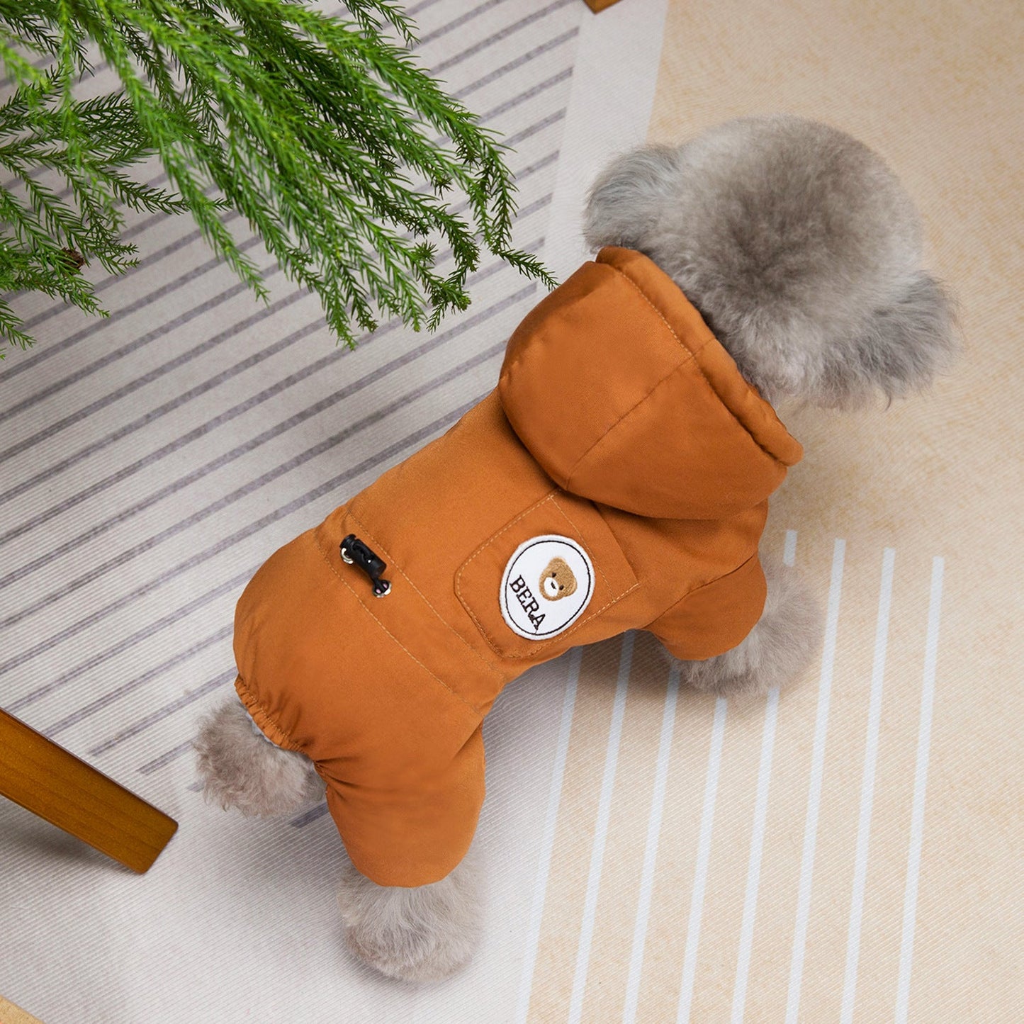 Dog Fashion Autumn And Winter New Clothing