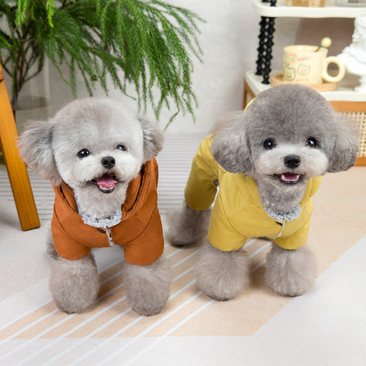 Dog Fashion Autumn And Winter New Clothing