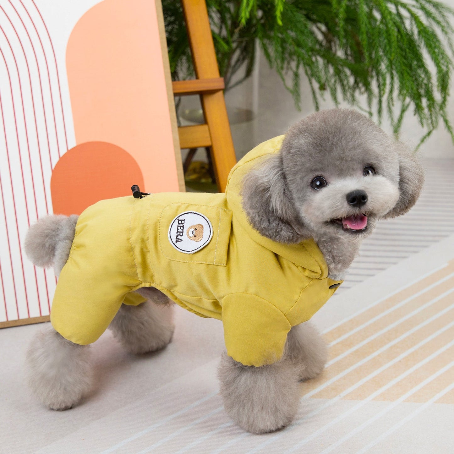 Dog Fashion Autumn And Winter New Clothing