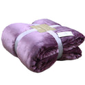 Coral Velvet Leg Nap Pet Blanket