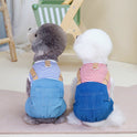 Fashion Personality Pet Dog Denim Four Pants