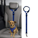 Car Backseat Pet Leash for stability