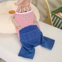 Fashion Personality Pet Dog Denim Four Pants