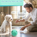 Pet Dog Toy Ball Cat Toy Outdoor Bite-resistant Puzzle Anti-choking Molar Cleaning Food-grade Silicone Leaking Food Ball