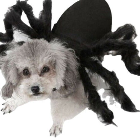 Pet Spider Horror Simulation Plush Dress Up