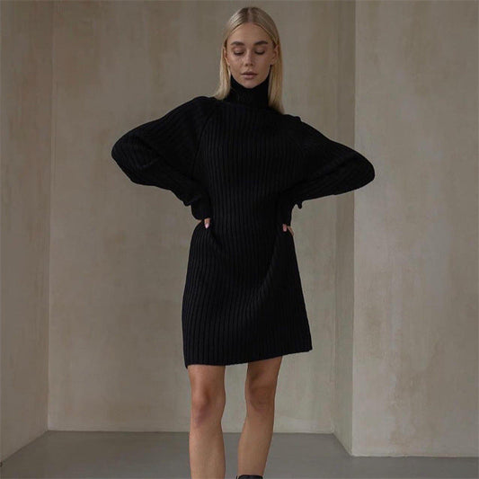 Long Sleeve Turtleneck Sweaters Dress